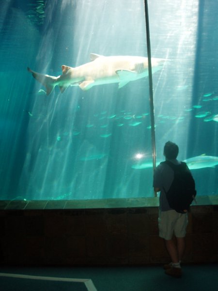 KeHa_in_South_Africa - 083